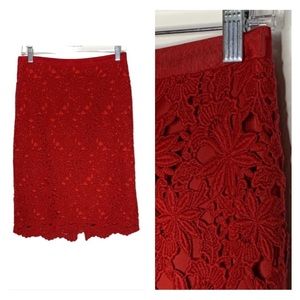 Talbots Lace Overlay Skirt